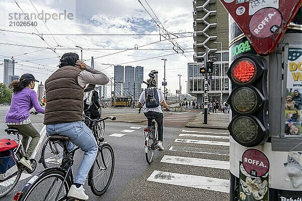 Bicycle traffic light  cyclist on cycle path  cycling at red light  in front of the Erasmus Bridge over the Nieuwe Maas  skyline of skyscrapers on the Kop van Zuid  Rotterdam  Netherlands