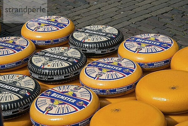 Alkmaar  Netherlands  May 2022. The cheese bars at the Alkmaar cheese market