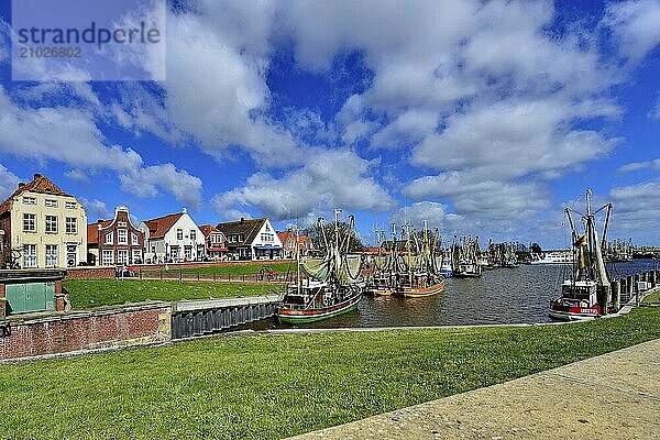 Colourful fishing boats moored in the harbour of Greetsiel with a view of the dyke and houses  Greetsiel  Krummhörn  East Frisia  Lower Saxony  Germany  Europe