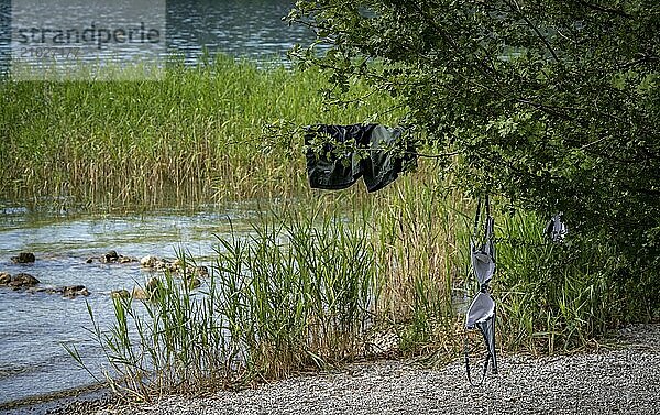 Nature and landscape around Lake Tegernsee  Bavaria  Germany  Europe