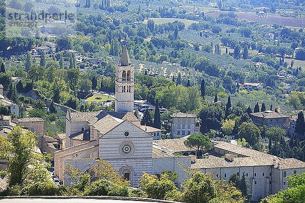 Basilica of Santa Chiara in Assisi  Umbria  Italy  Europe