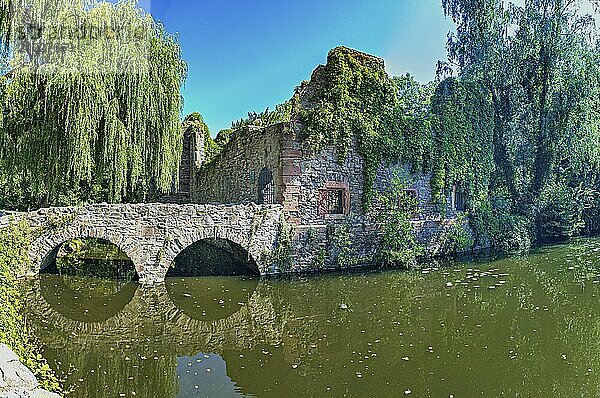 Church ruins of the Holy Sepulchre in Aschaffenburg  Bavaria  Germany  Europe