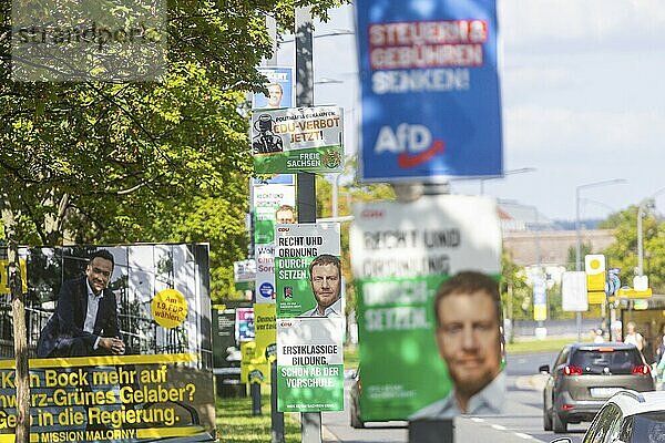 The hot phase of the state election campaign in Saxony can be seen in the amount of different messages on trees and lanterns  State election campaign in Saxony  Dresden  Saxony  Germany  Europe