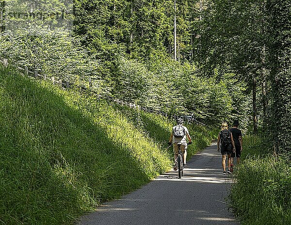 Cyclists and hikers on a circular route on Lake Tegernsee  Bavaria  Germany  Europe