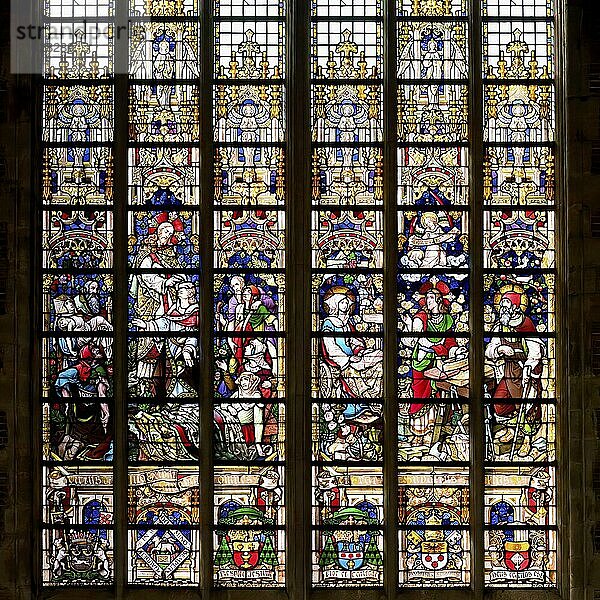 10th century Gothic St. Bavo Cathedral  Stained-Glass window  Ghent  Flanders  Belgium  Europe