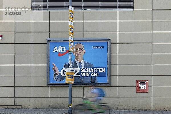 The hot phase of the state election campaign in Saxony can be seen in the amount of different messages on trees and lanterns  State election campaign in Saxony  Dresden  Saxony  Germany  Europe