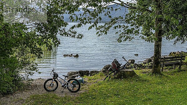 Nature and landscape around Lake Tegernsee  Bavaria  Germany  Europe