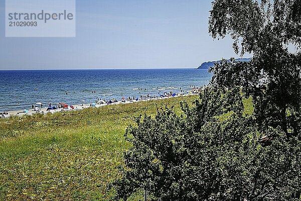 Baltic Sea beach near Baabe  Mönchgut  south-east Rügen  Baltic Sea  island of Rügen Mecklenburg-Western Pomerania  Germany  Europe