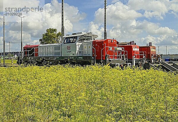 Three shunting locomotives on the siding at the buffer stop  Bremerhaven  Bremen  Germany  Europe