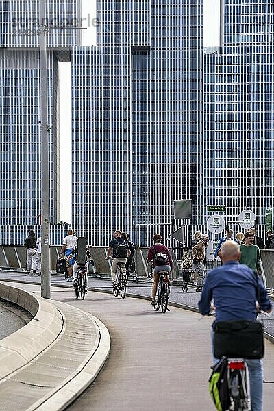 Cyclist on the cycle path of the Erasmus Bridge over the Nieuwe Maas  skyline of the skyscrapers on the Kop van Zuid  Rotterdam  Netherlands