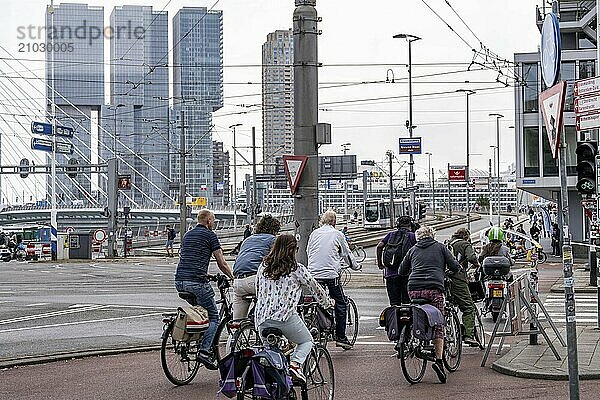 Cyclist on cycle path in front of the Erasmus Bridge over the Nieuwe Maas  skyline of skyscrapers on the Kop van Zuid  Rotterdam  Netherlands