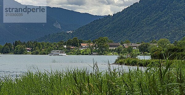 Nature and landscape around Lake Tegernsee  Bavaria  Germany  Europe