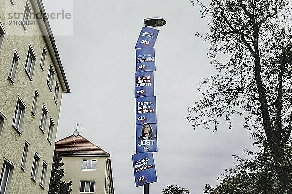 Election posters of the Alternative for Germany (AfD) hanging on a lamppost in Dresden  31 August 2024. A new state parliament will be elected in Saxony on 1 September