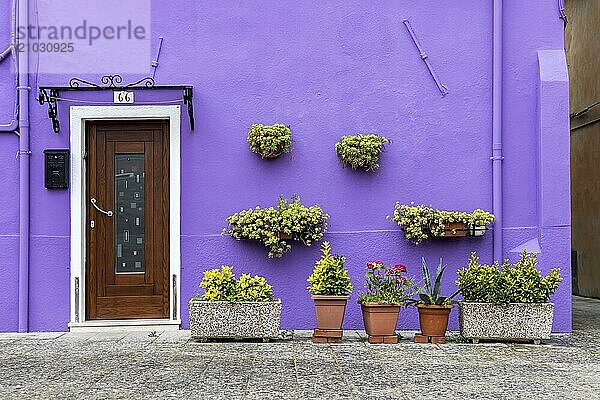 City view of Burano with colourfully painted houses and canals. Burano  Venice  Veneto  Italy  Europe