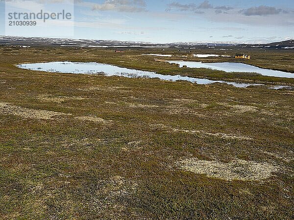 Holiday homes  in Tundra landscape  Varanger National Park  Varanger Fjord  May  Norway  Europe