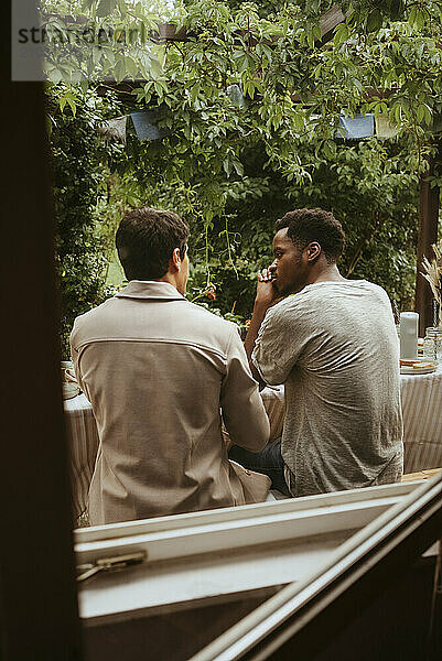 Rear view of young male friends talking with each other seen through window