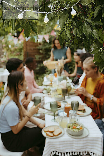 String light decoration on tree with friends celebrating during dinner party in back yard