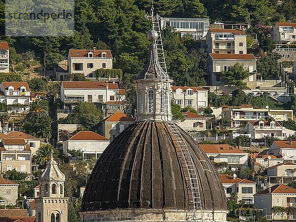 Domed church in front of a hillside with several houses and green trees  dubrovnik  Mediterranean Sea  Croatia  Europe