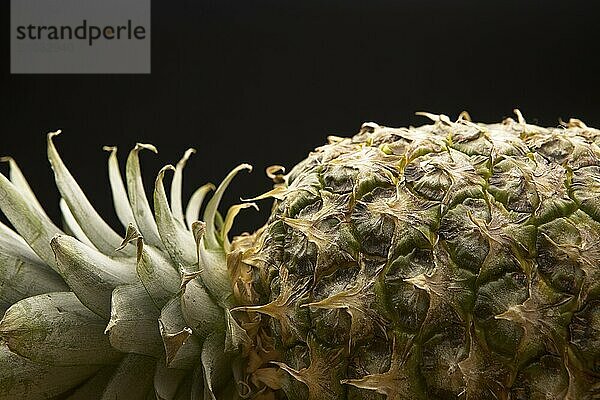 A close up studio photo of a whole pineapple laying on its side against a black background