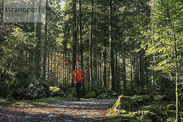 A hiker on the hiking trail around the Vorderer Gosausee. Autumnal forest. Good weather  sunshine. Gosau  Gosau Valley  Salzkammergut  Upper Austria  Austria  Europe