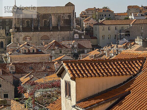 Sunny old town view with narrow buildings and orange-coloured tiled roofs  dubrovnik  Mediterranean Sea  Croatia  Europe