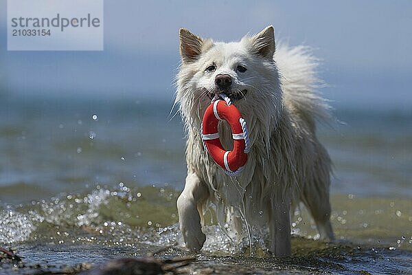 Bathing fun on Lake Constance