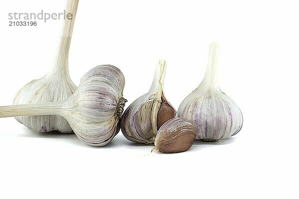 Garlic bulbs and cloves in close-up isolated on white background