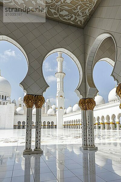 Sheikh Zayed Grand Mosque Abu Dhabi in Abu Dhabi  United Arab Emirates  Asia