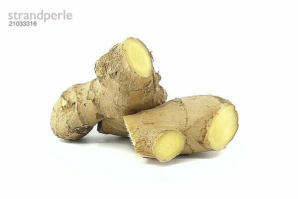 Fresh ginger roots isolated on white background  herbal medical plant