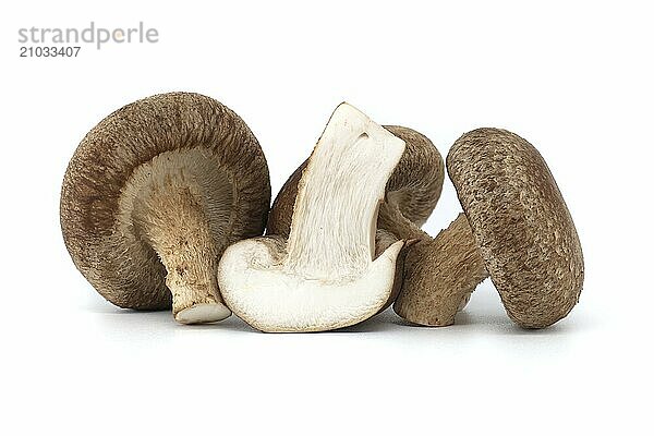 Fresh shiitake mushrooms isolated on white background  health food and pharmacological properties  Lentinula edodes