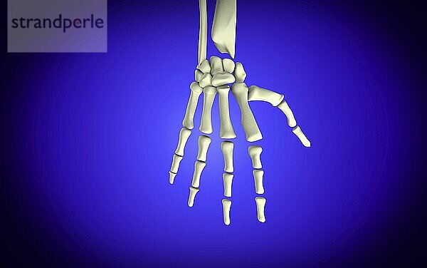 Conceptual image of bones in human hand