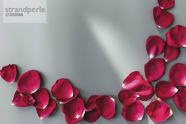 Group of red rose petals on gray background. Mockup for greeting card for valentine  wedding or engagement