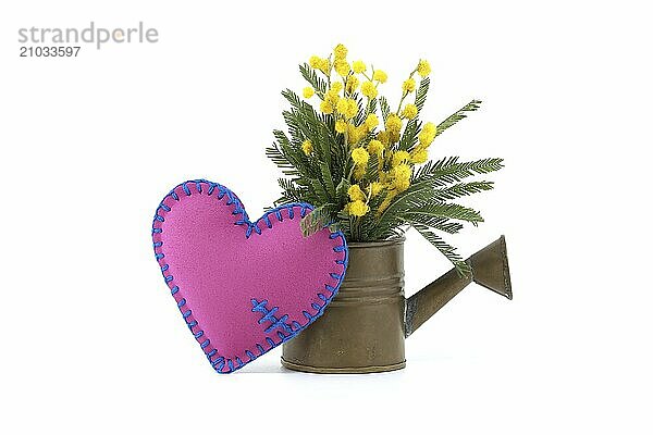 Lovely heart-shaped vibrant shade of pink pillow beside captivating display of yellow mimosa flowers in a brass watering can isolated on white background