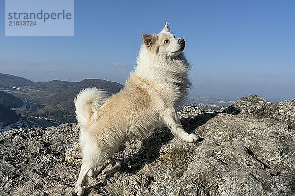 Climbing exercises in rocky terrain