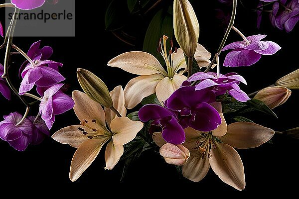 A low key image of yellow lilies and purple orchids shot against a black background