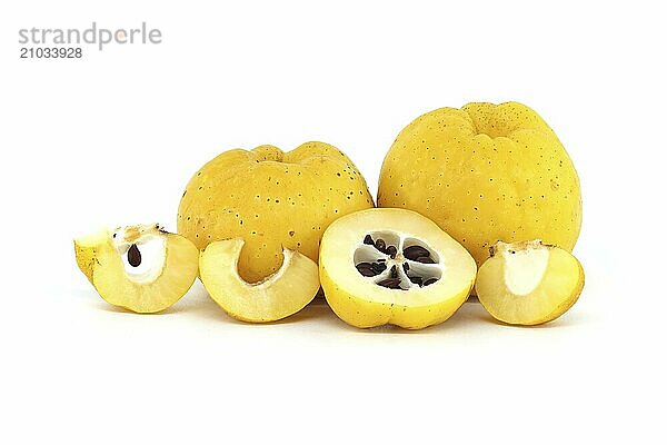 Yellow quince fruits whole and some cut in half to expose their seeds isolated on white background  full depth of field  Chaenomeles japonica or Japanese quince