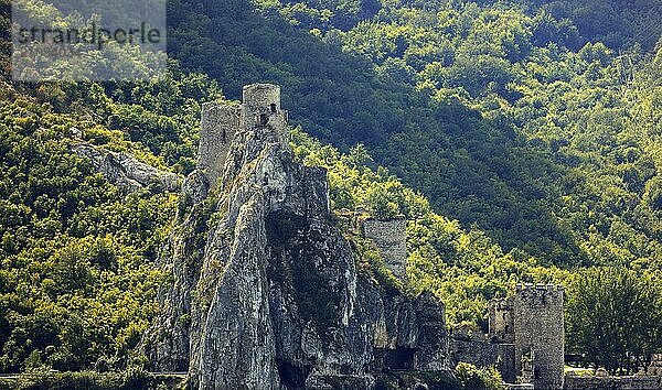 View of the castle on the Danube on the Serbian side opposite Coronini  Danube landscape  Iron Tor Tor nature park Park  Romania  Europe