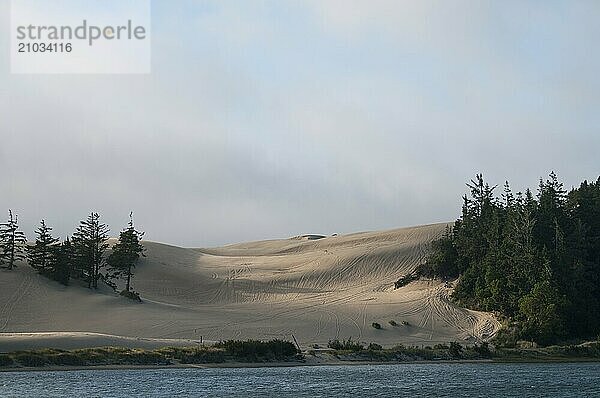 An ATV rider in the sand dunes of Oregon  the Oregon Dunes National Recreation Area