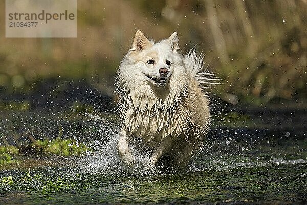 The swimming season has begun