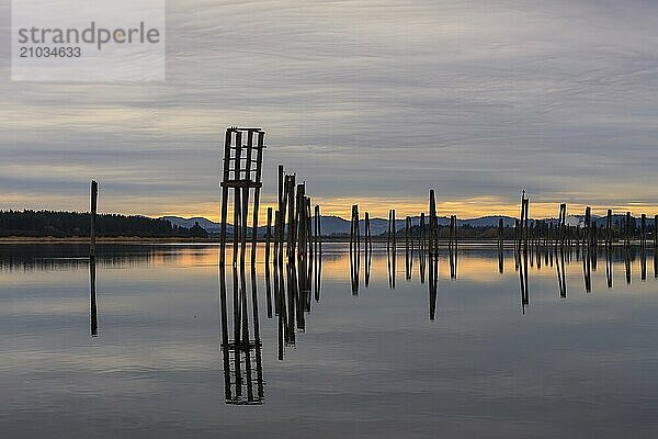 Tall wooden pilings lineup along the calm Pend Oreille River at Cusick  Washington