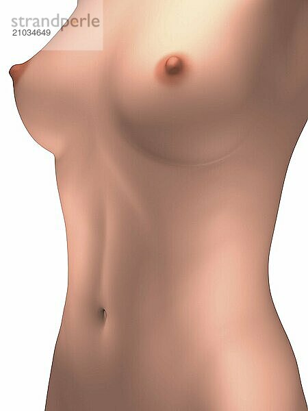 Conceptual image of female torso