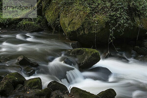 Long exposure of the Wesenitz in the Liebethaler Grund in Saxon Switzerland