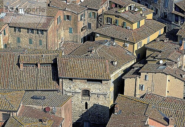 Siena from above  medieval city  roofs