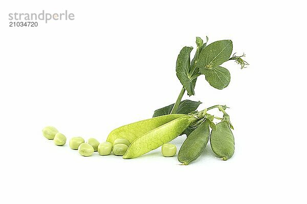 Fresh sweet peas pods with green leaves isolated on a white background  garden peas or English peas picked before full maturity