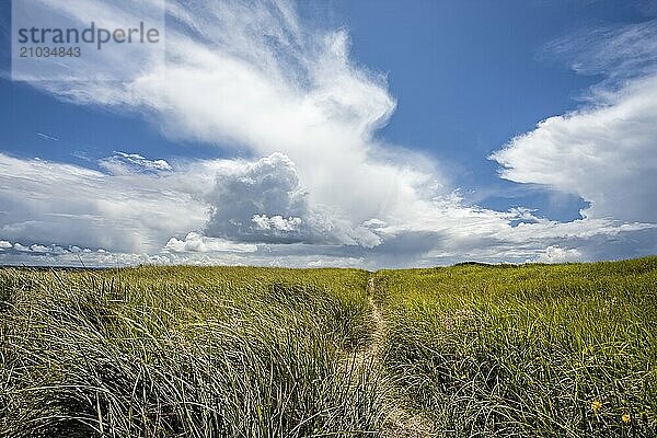 By the jetty at the south end of Ocean Shores  Washington