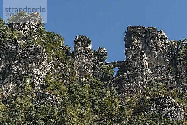 View from the Elbe up to the Bastei Bridge in Saxon Switzerland