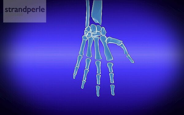 X-ray view of human hand