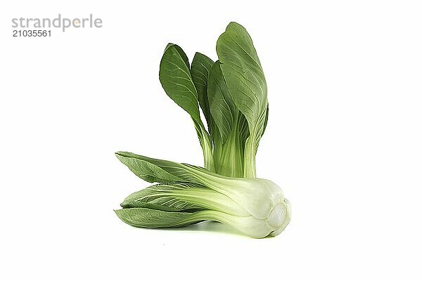 Pak choi  also known as bok choi or pok choi type of Chinese cabbage isolated on white background