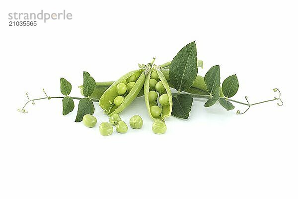 Group of fresh green peas  pea pods with green leaves and open pea pod in close up isolated on white background