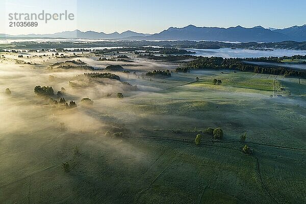 Aerial view of meadows and trees in front of mountains in backlight  sunrise  fog  autumn  Murnau  Alpine foothills  Upper Bavaria  Bavaria  Germany  Europe